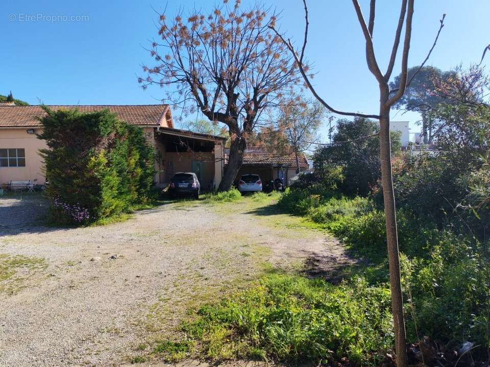Terrain 313 m² à Toulon  - photo 3