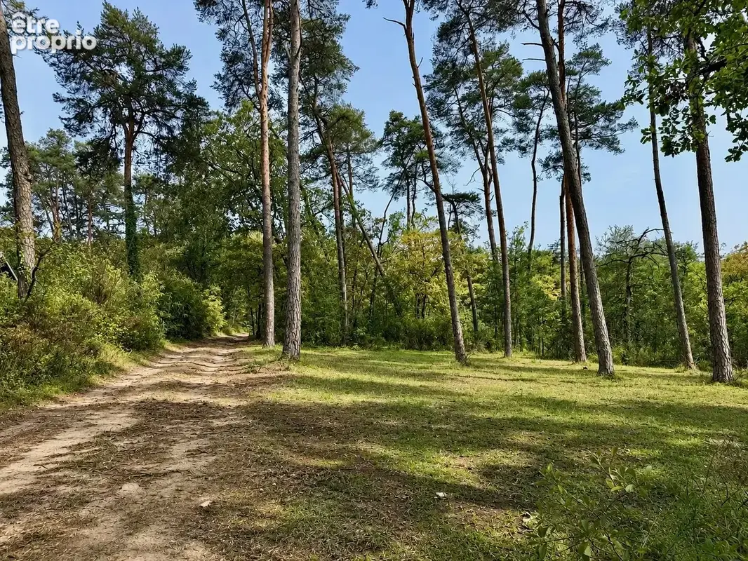 Acheres-la-foret (77760) proche milly-la-foret - photo 30