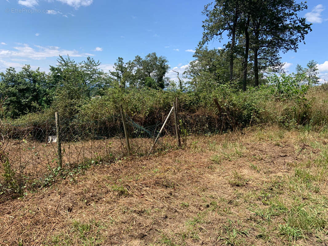 49891100h.jpg - Terrain à LABASTIDE-MONREJEAU
