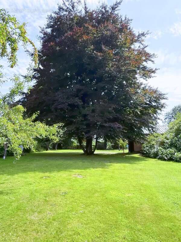 Photo 9 - Maison à BEUZEVILLE