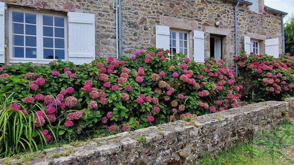 Maison à PLENEUF-VAL-ANDRE