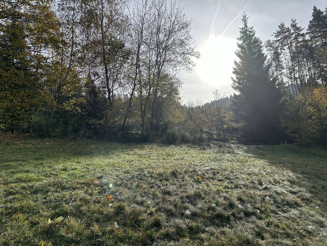 Terrain à GERARDMER