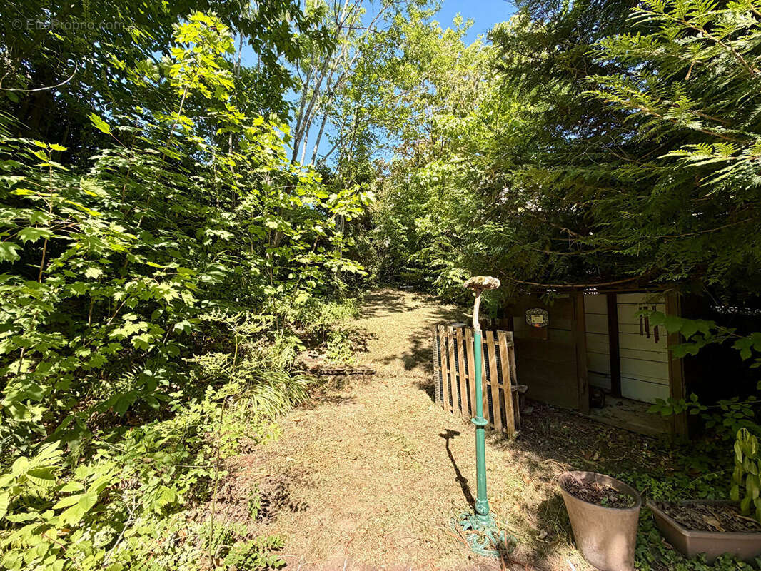 Maison 150m² à châtenay-malabry - photo 5