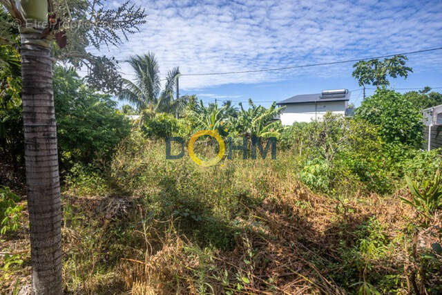 ENSEMBLE IMMOBILIER 2 chalets F3 et 2 studios sur 1850m2 de terrain avec piscine - photo 12