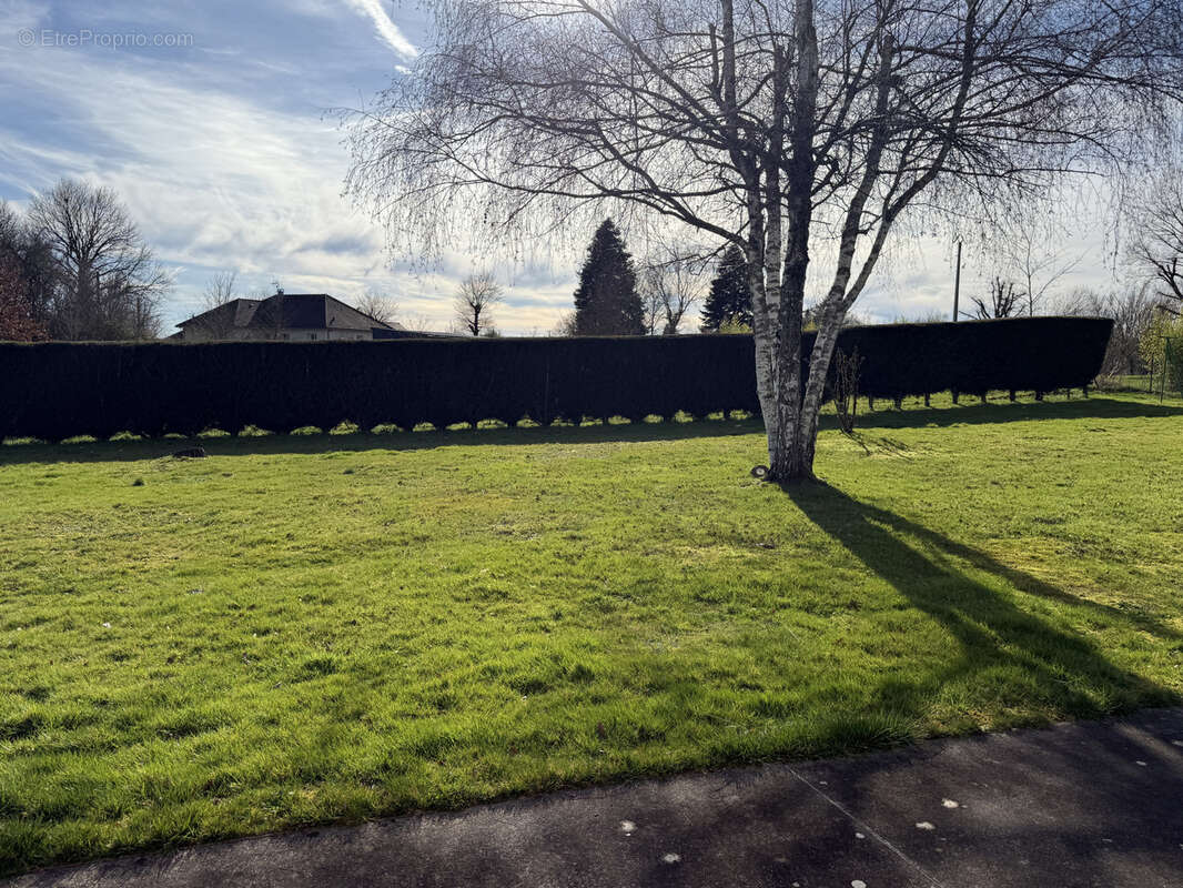 Maison à SAINT-PARDOUX-CORBIER