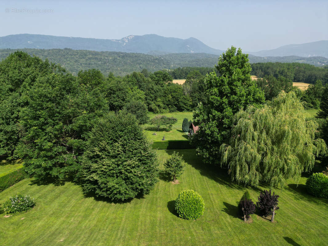Maison à BELLEY