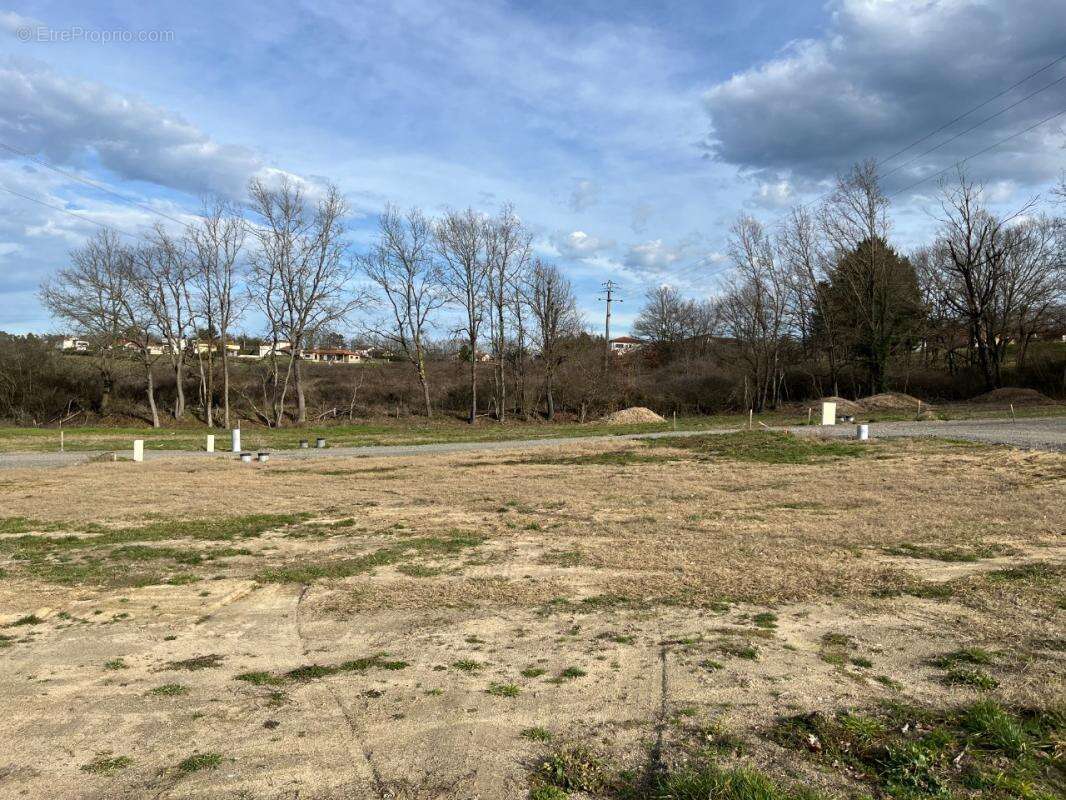 Terrain à PONCINS