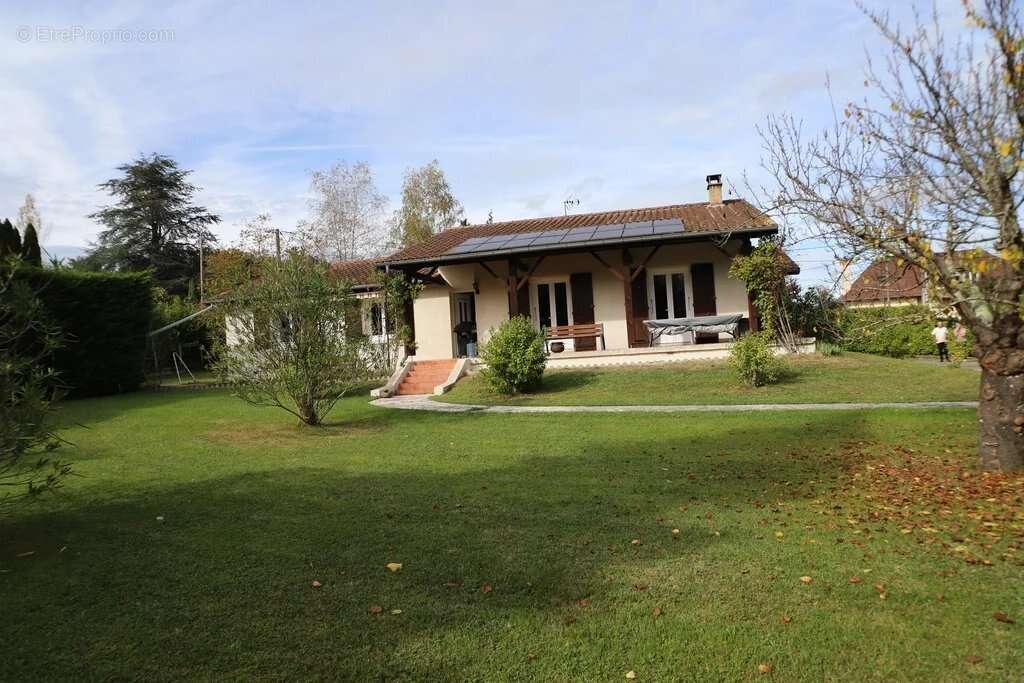 Maison à SAINT-JEAN-DU-FALGA