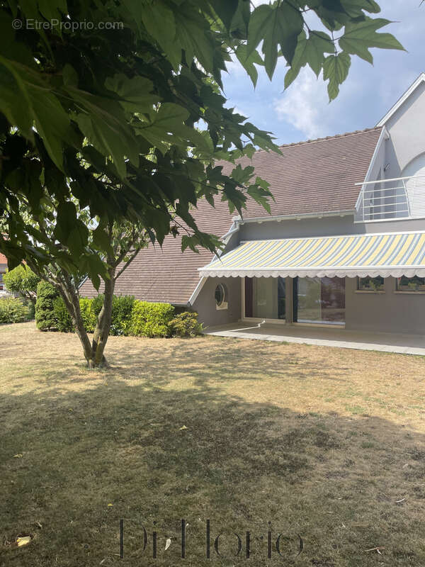Nordheim - Maison d’architecte aux volumes remarquables 310m2 avec appartement indépendant - photo 44