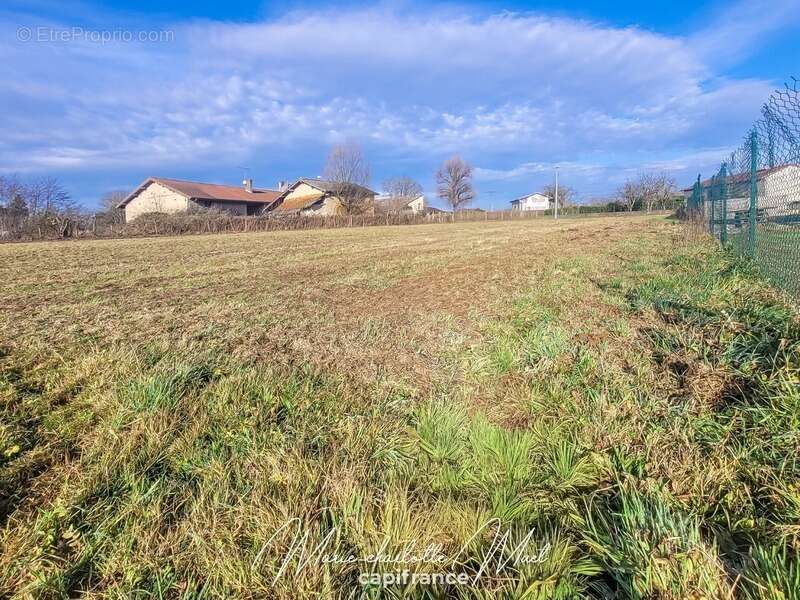 Terrain à GORREVOD