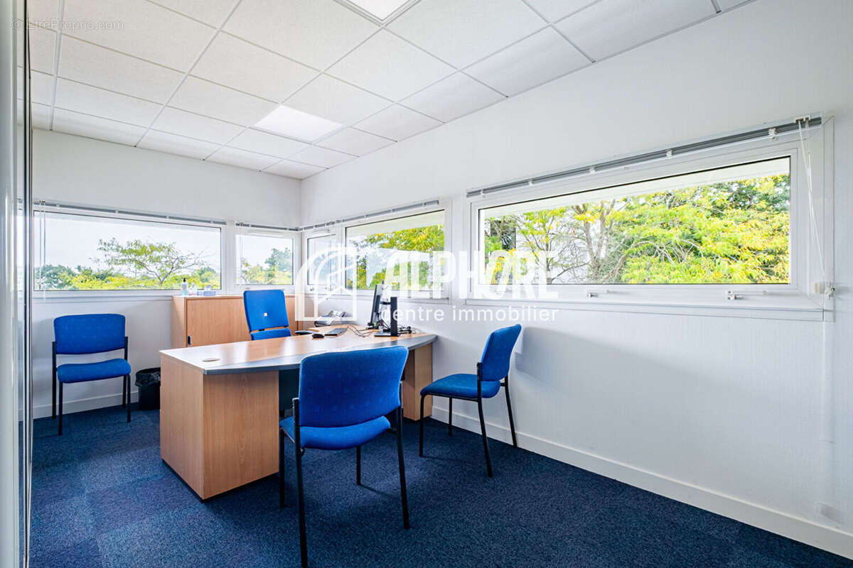 Commerce à SAINT-NAZAIRE