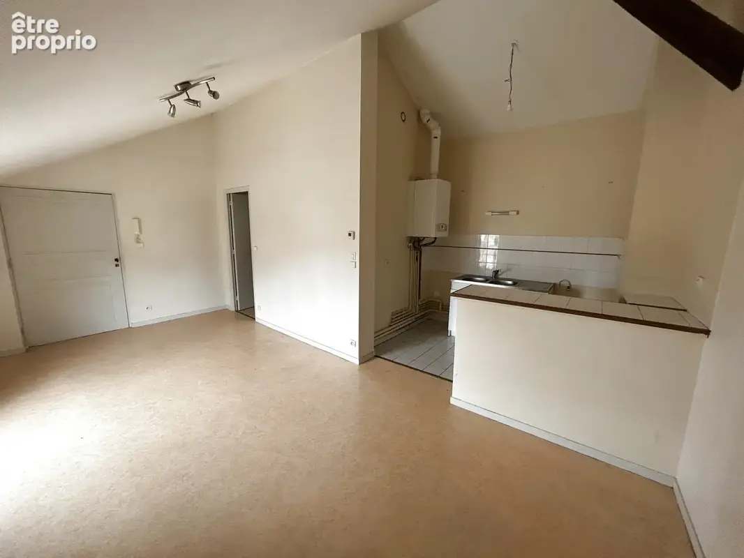 Type 3 dans immeuble de caractère - coeur de ville - photo 2