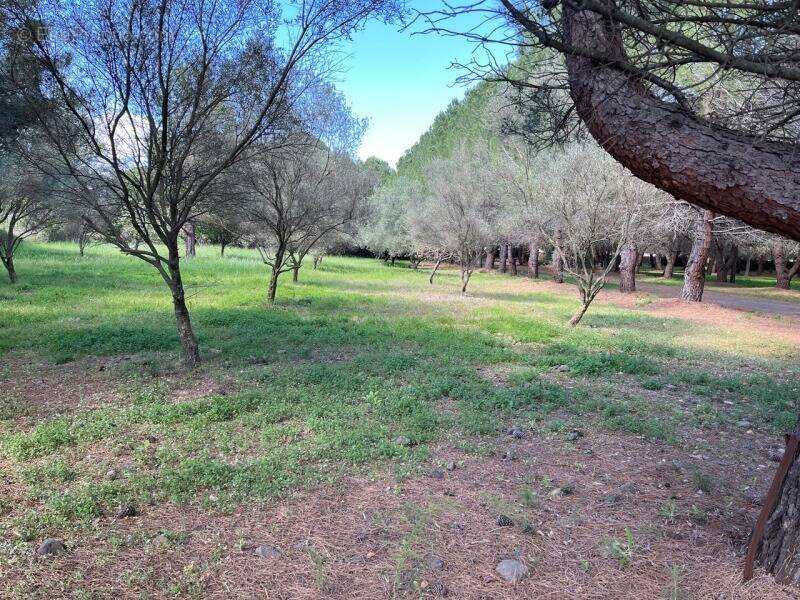 Terrain à LEZIGNAN-LA-CEBE