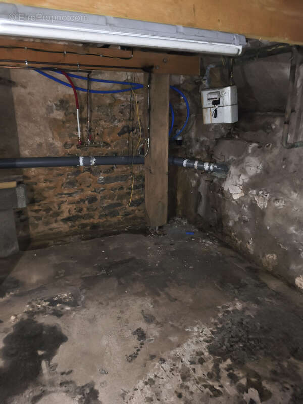 Maison à FRESNAY-SUR-SARTHE