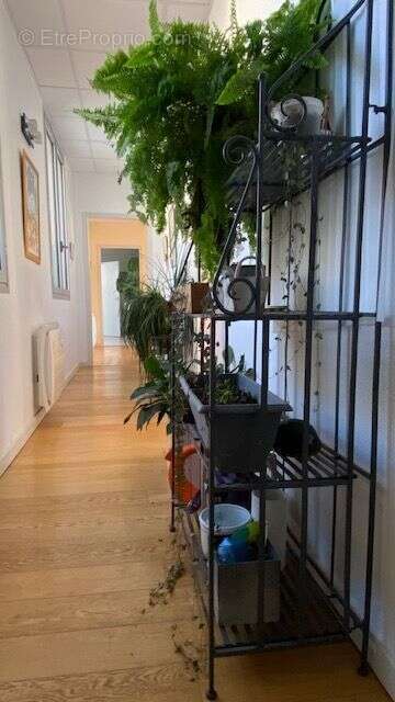 Appartement à ROCHEFORT