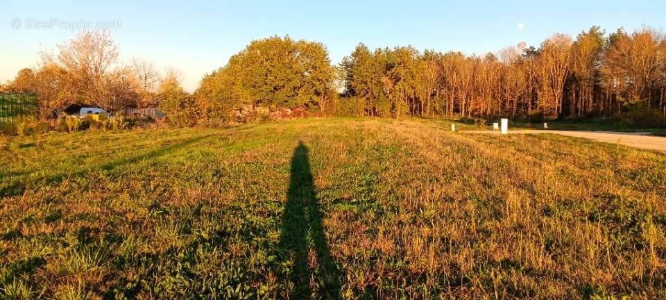 Terrain à VILLEMATIER