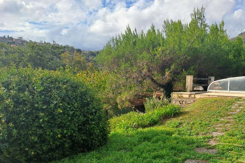 Terrain à VENCE