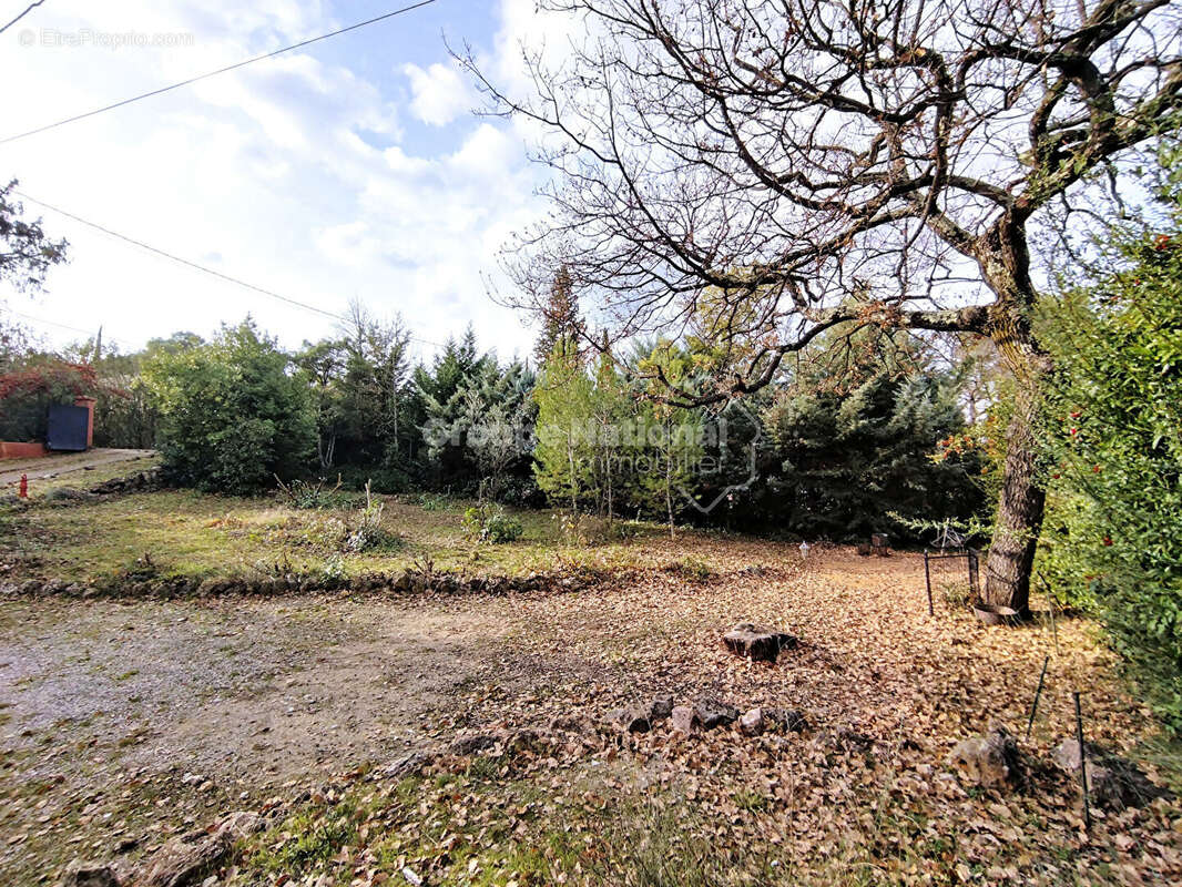 Terrain à LE THORONET