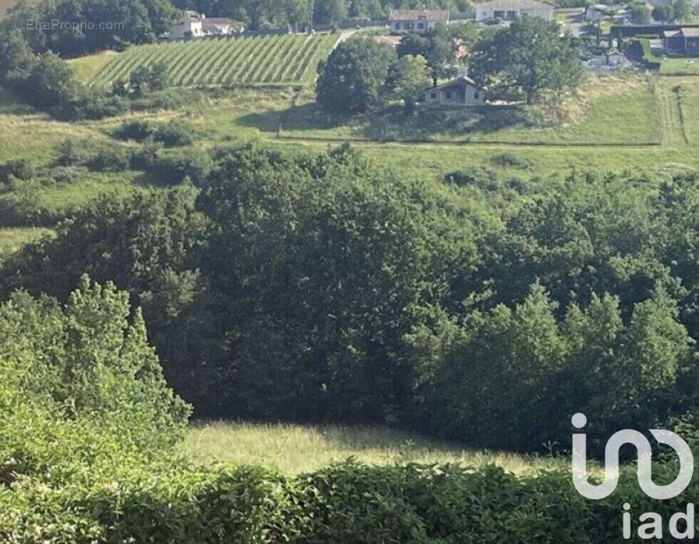 Photo 3 - Terrain à MOISSAC