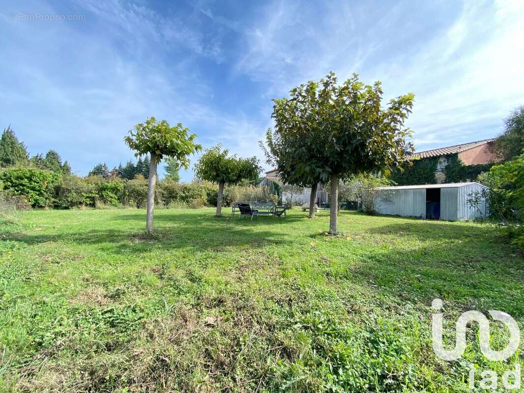 Photo 4 - Maison à ENTRAIGUES-SUR-LA-SORGUE