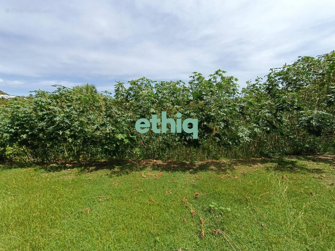 Terrain à LE GOSIER