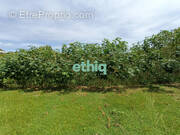 Terrain à LE GOSIER