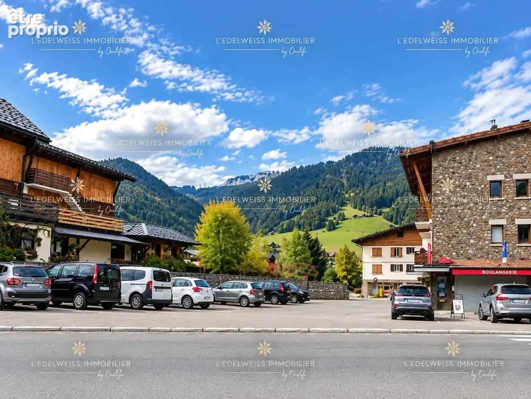 Praz sur Arly - appartement 3 pièces à vendre - photo 6