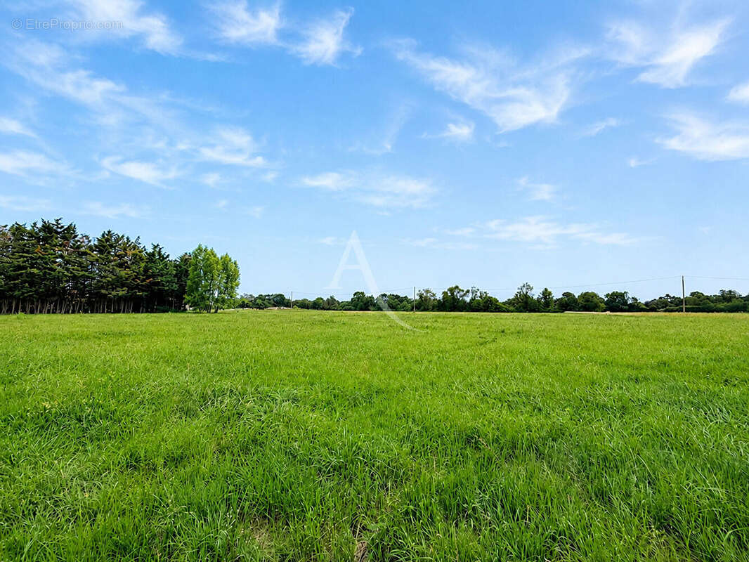 Terrain de loisirs avec étang, verger et cabanon aménagé - photo 5