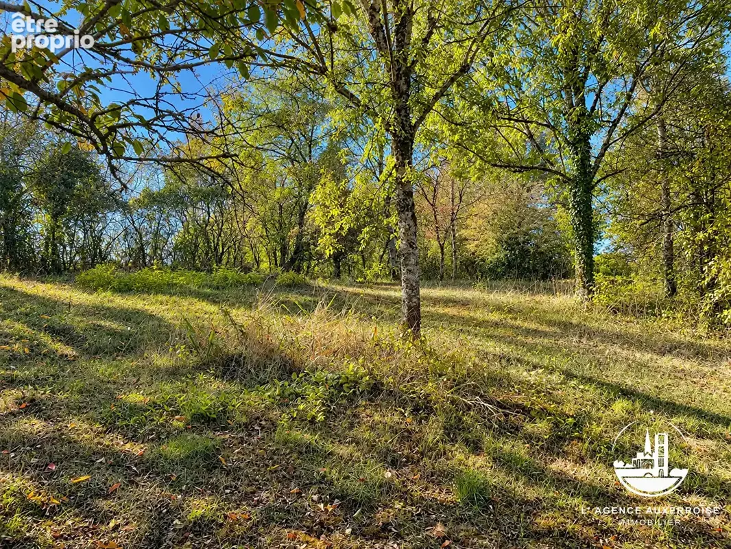 Ouanne  maison de caractère avec dépendances, au calme et vue sur la campagne - photo 3