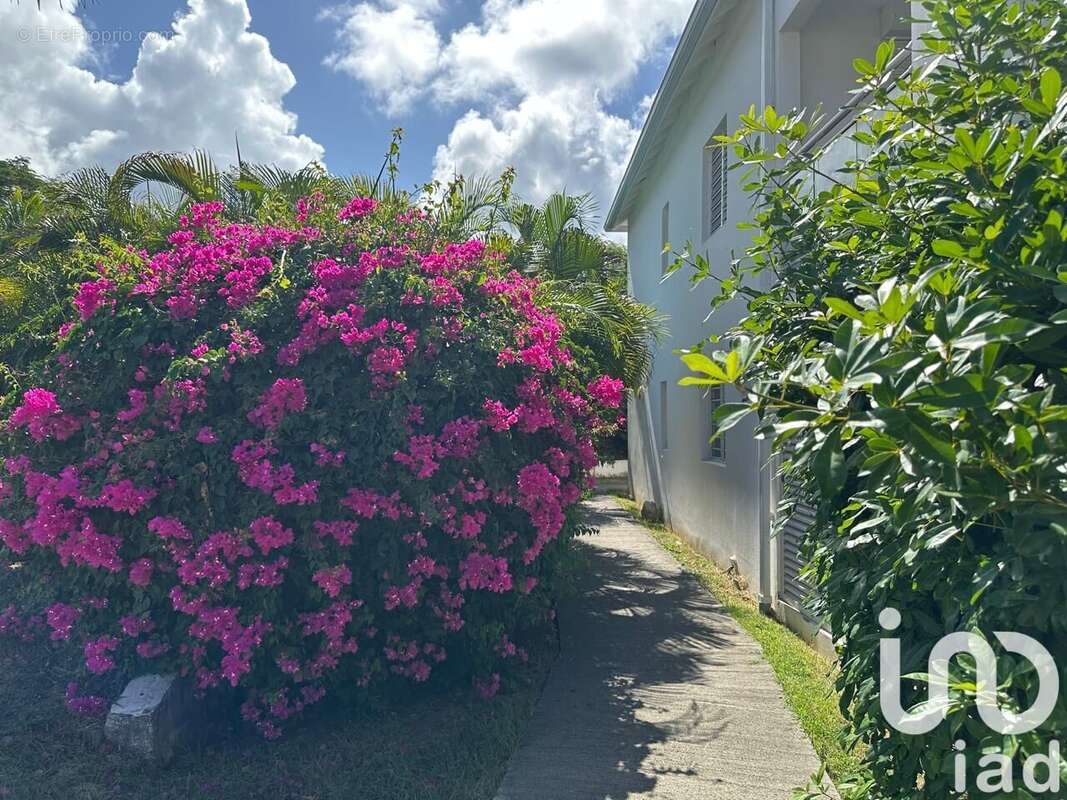 Photo 3 - Appartement à SAINT-MARTIN