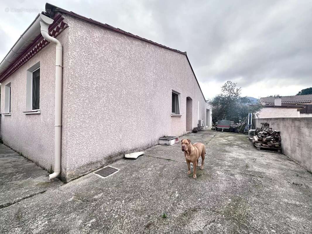 Maison à VILLELONGUE-DELS-MONTS