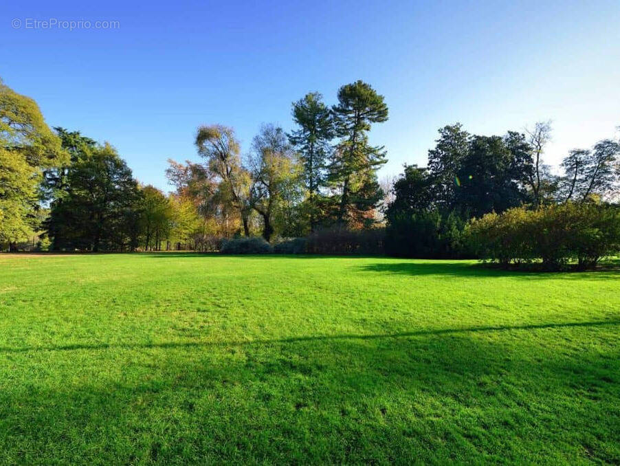 Terrain à BISCARROSSE