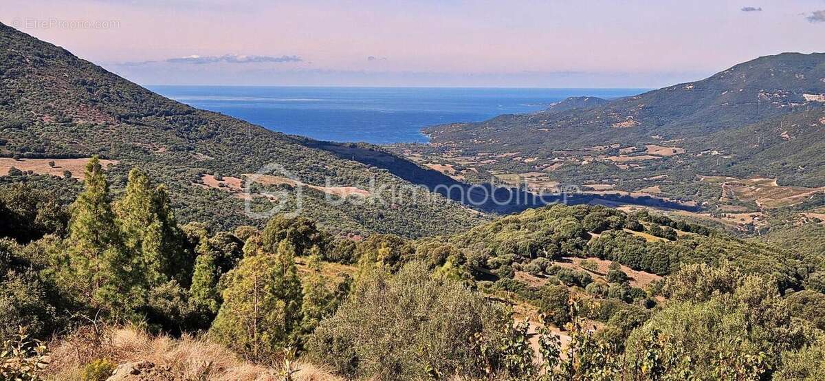 Villa contemporaine avec vue exceptionnelle – Fozzano (Corse-du-Sud) - photo 3
