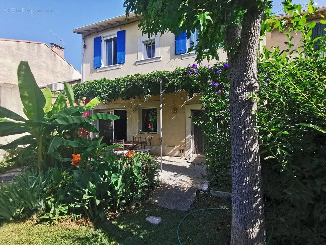 Maison à AVIGNON