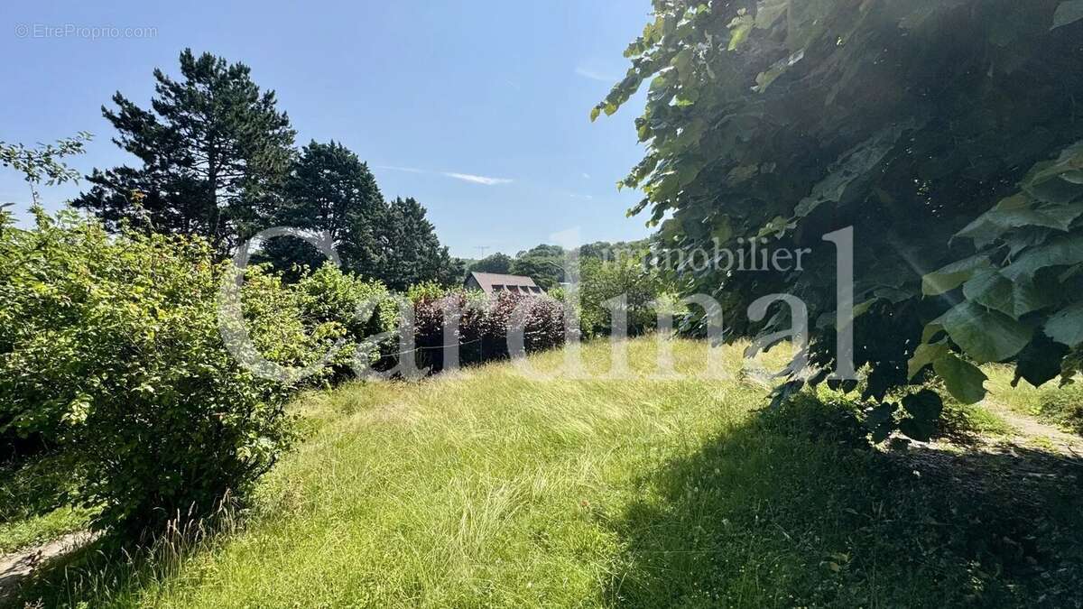 Terrain à L&#039;ETANG-LA-VILLE