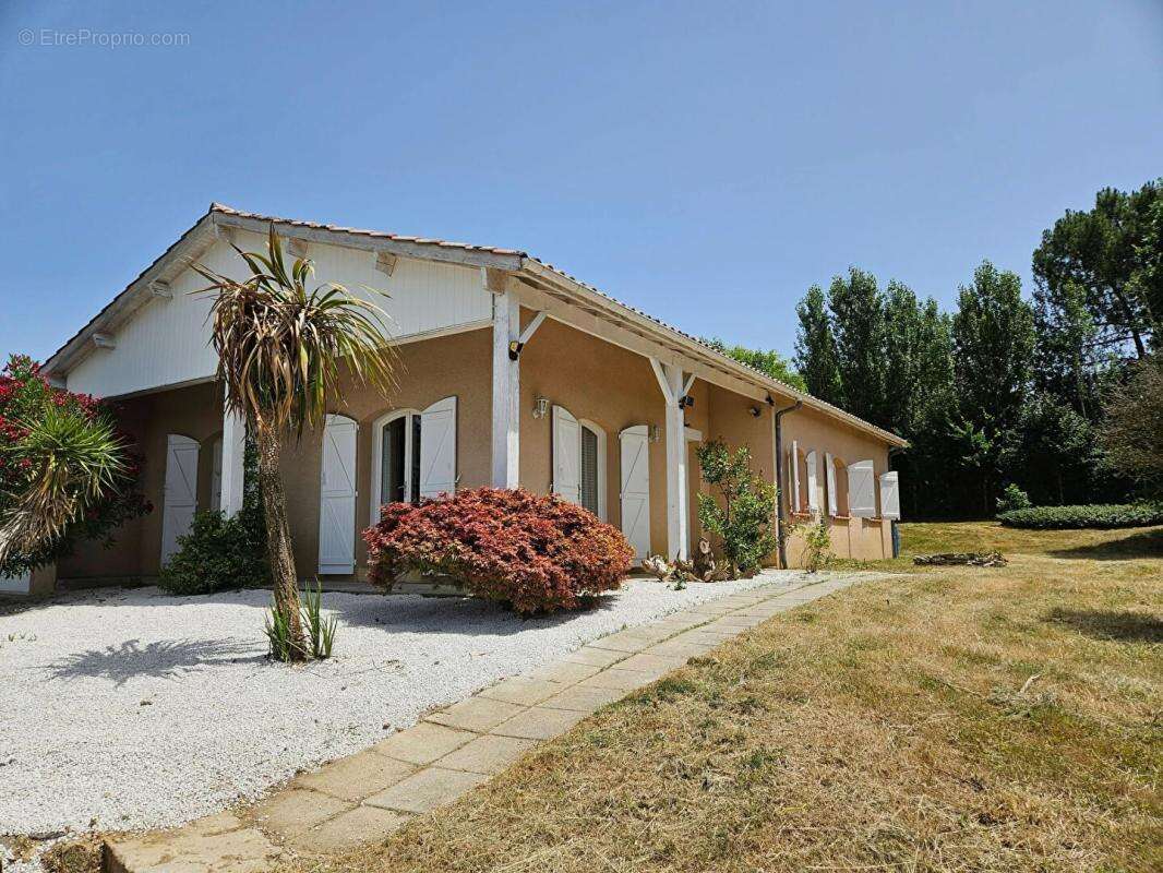 Secteur PUYMIROL : Maison 5 pièce(s) 120 m2 - Garage - Piscine - Jardin - photo 14