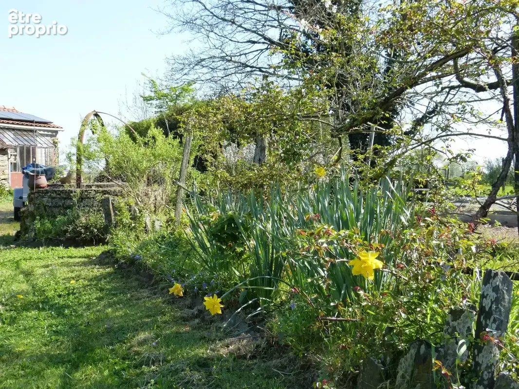 MONTBERT Maison pleine de charme sur très joli jardin - photo 3