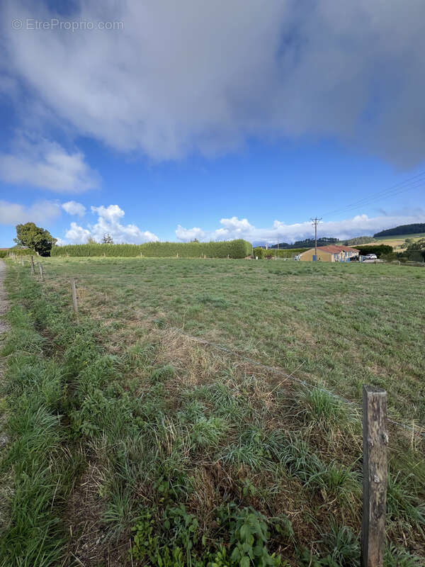 Terrain à MONISTROL-SUR-LOIRE