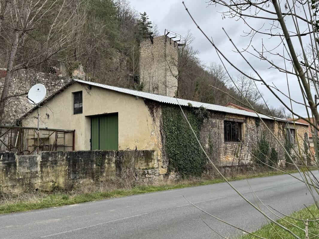 IMG1632 - Maison à SAINT-CYPRIEN