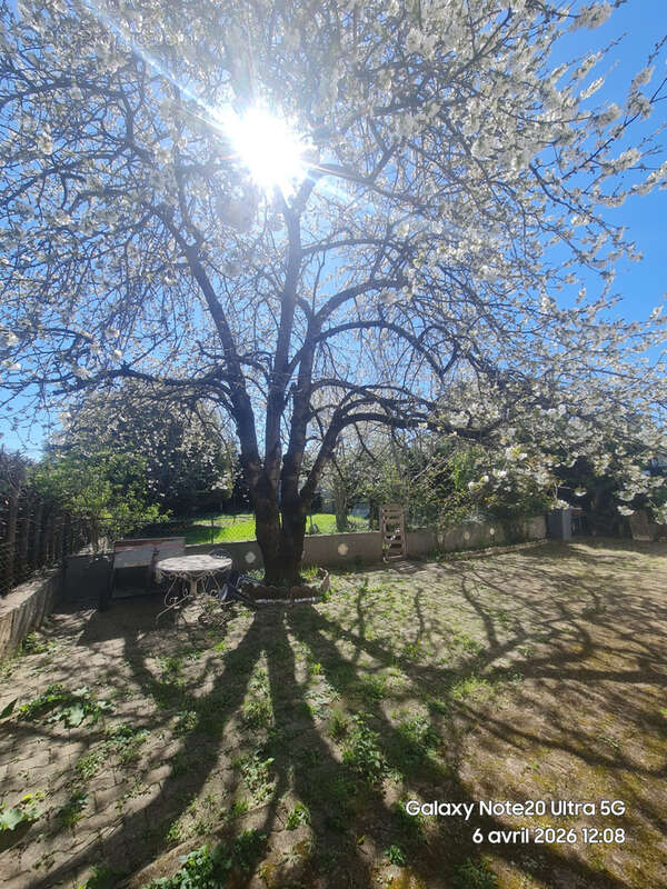 Maison à SAINT-ETIENNE