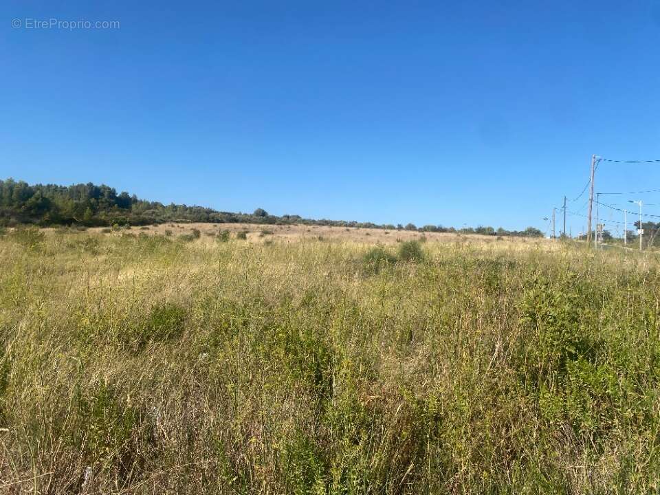 Terrain 503 m² à Portel-Des-Corbieres  - photo 2