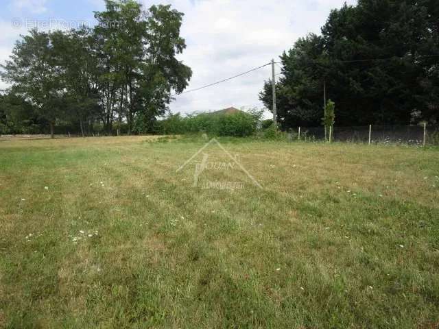 Terrain à VARENNES-SUR-ALLIER