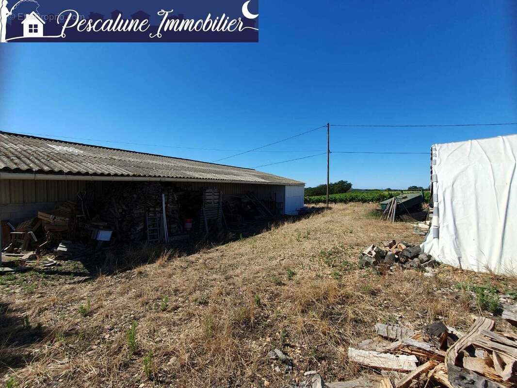 Propriété viticole 10 ha  Villa 95 m²  Vignes AOC - photo 15