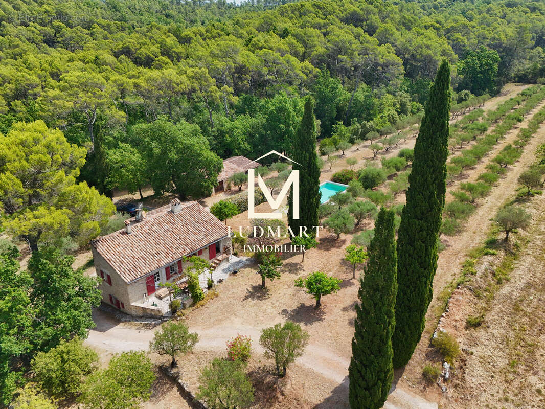 Lorgues   Domaine provençal de 11 hectares avec deux maisons indépendantes, deux piscines, vignoble AOP et oliveraie - photo 6