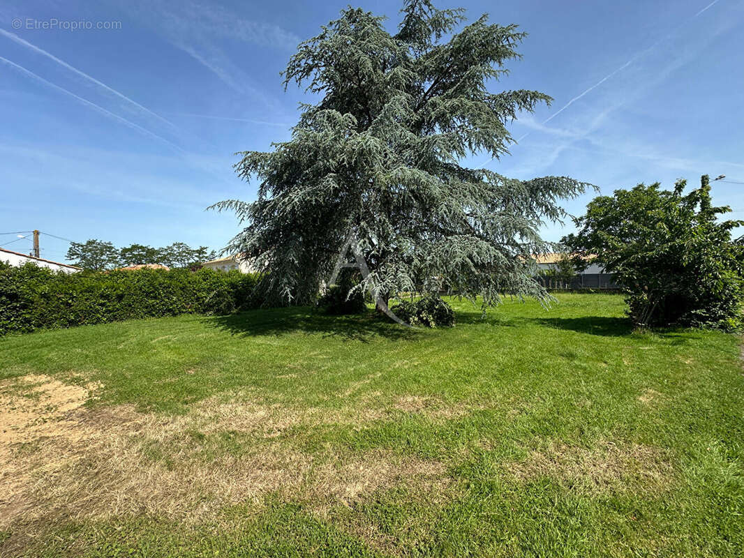 Terrain constructible à vendre à AIZENAY - photo 6