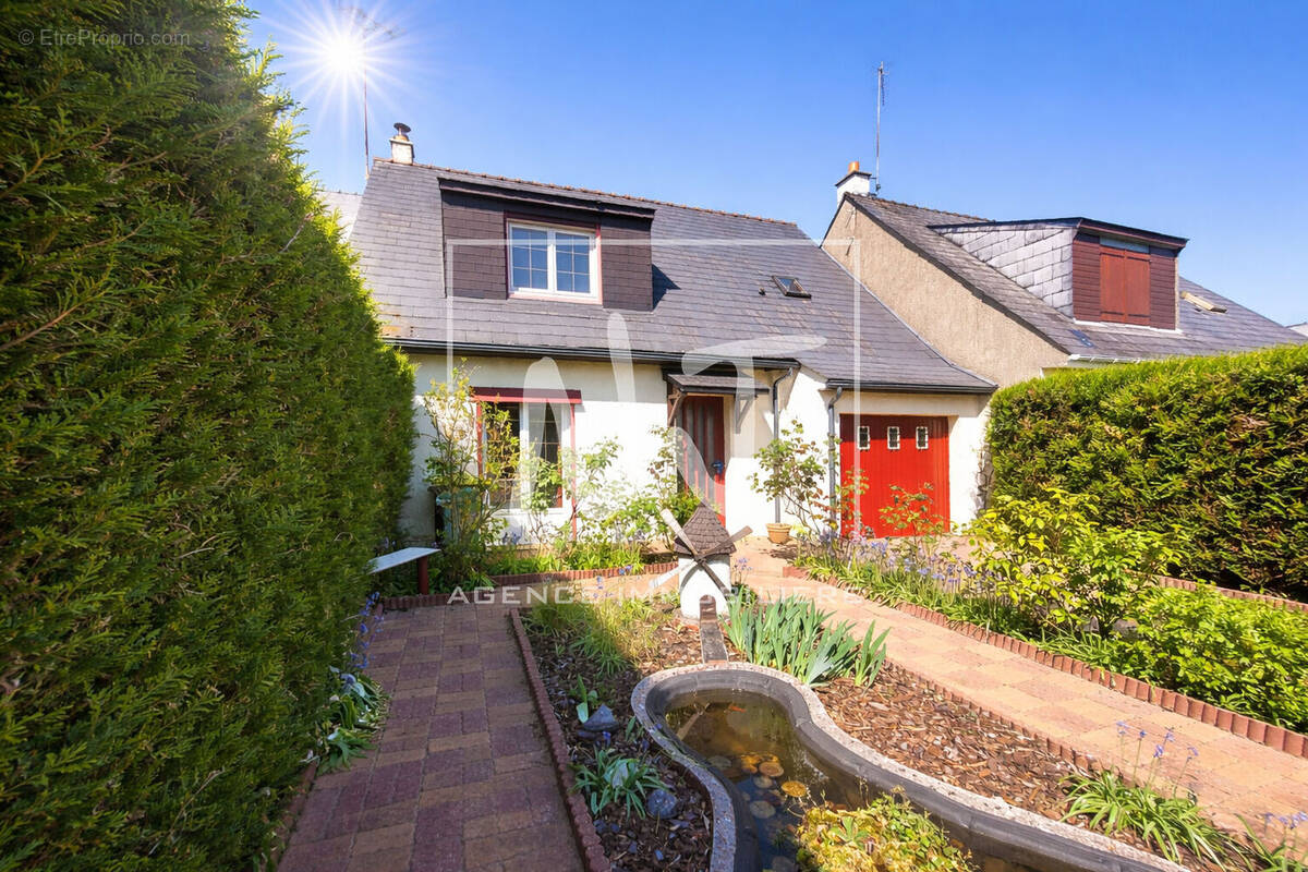 Maison à PELLOUAILLES-LES-VIGNES