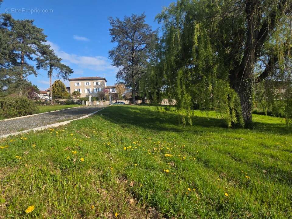 Terrain 743 m² à Dommartin  - photo 2