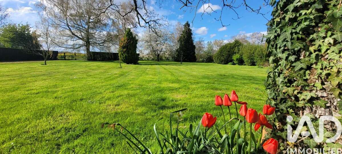 Photo 2 - Maison à NOYON