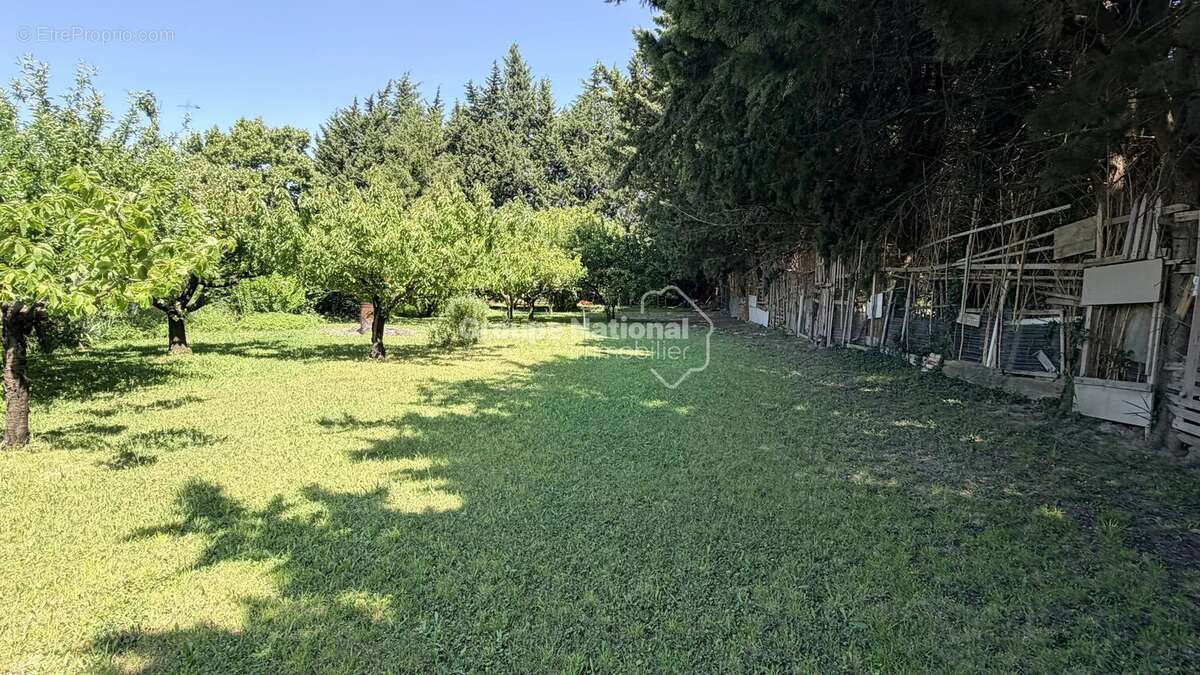 Courthezon - ensemble immobilier de 385 m² en campagne - photo 7