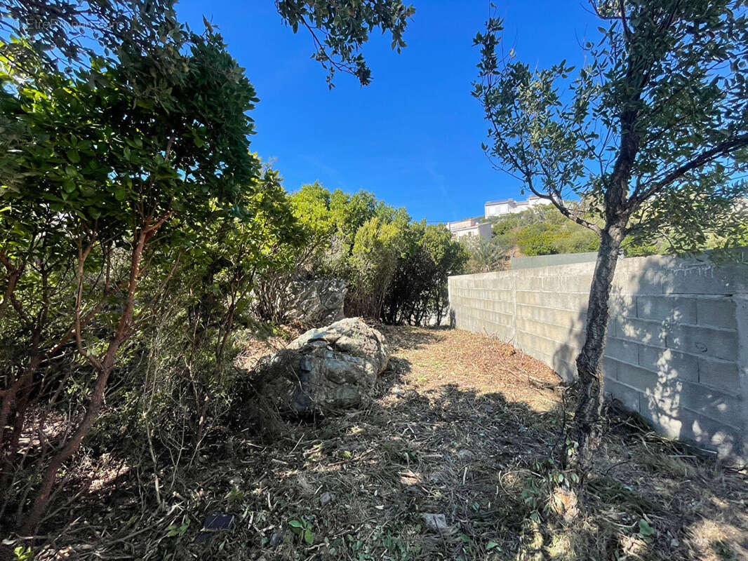 Terrain à SANTA-MARIA-DI-LOTA